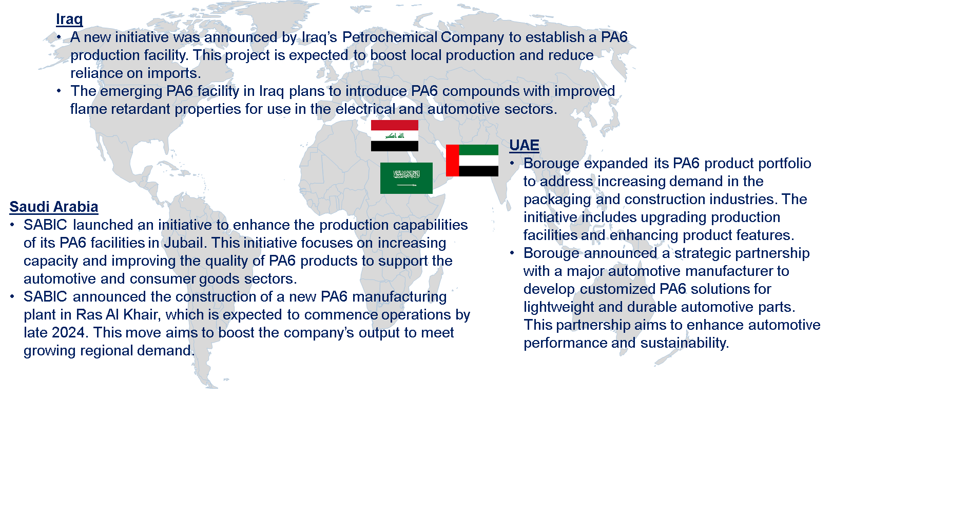 MENA Pa6 Market Trends by Region